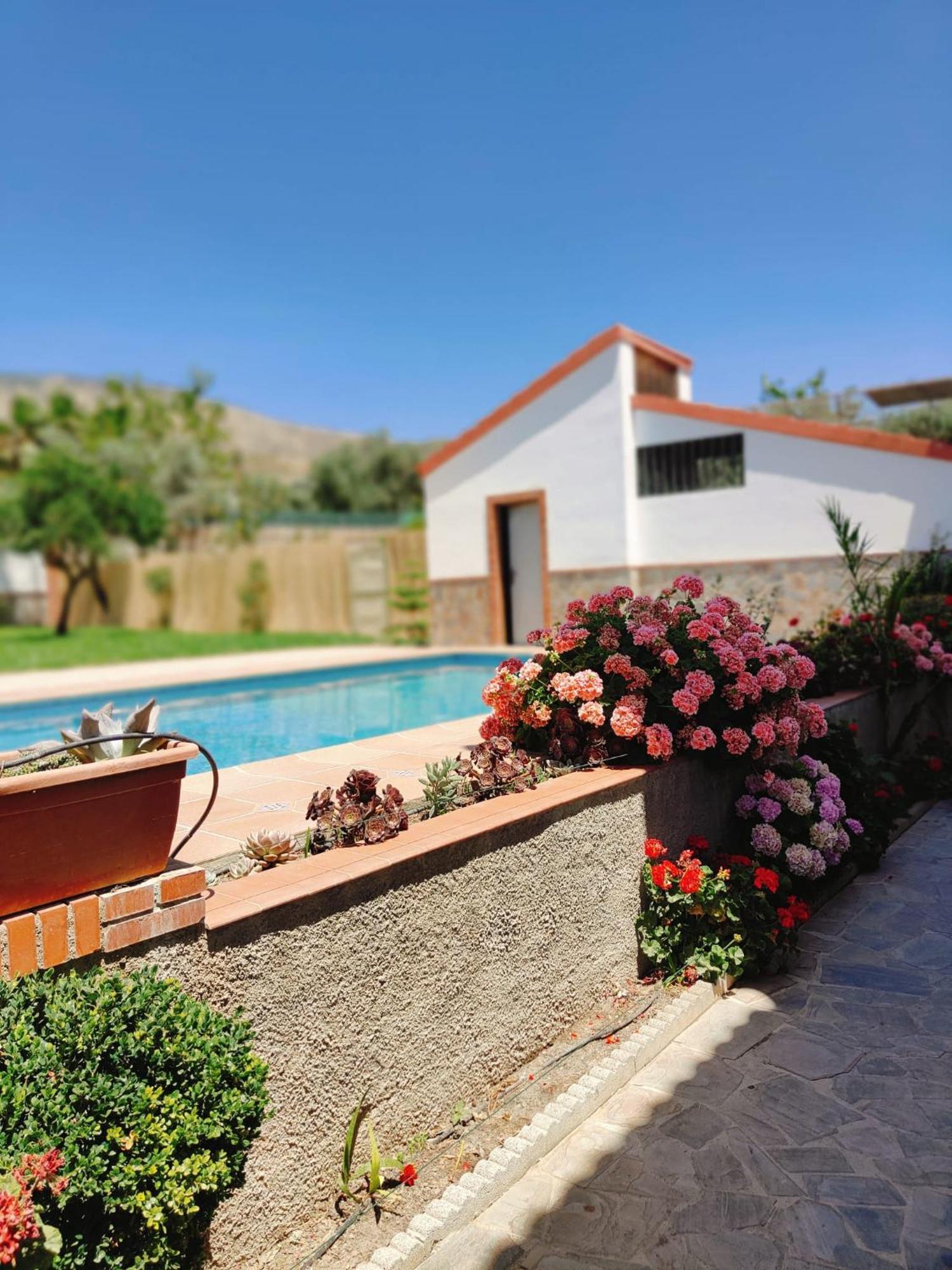 Casa Rural Las Cuatro Flores Orgiva Ngoại thất bức ảnh